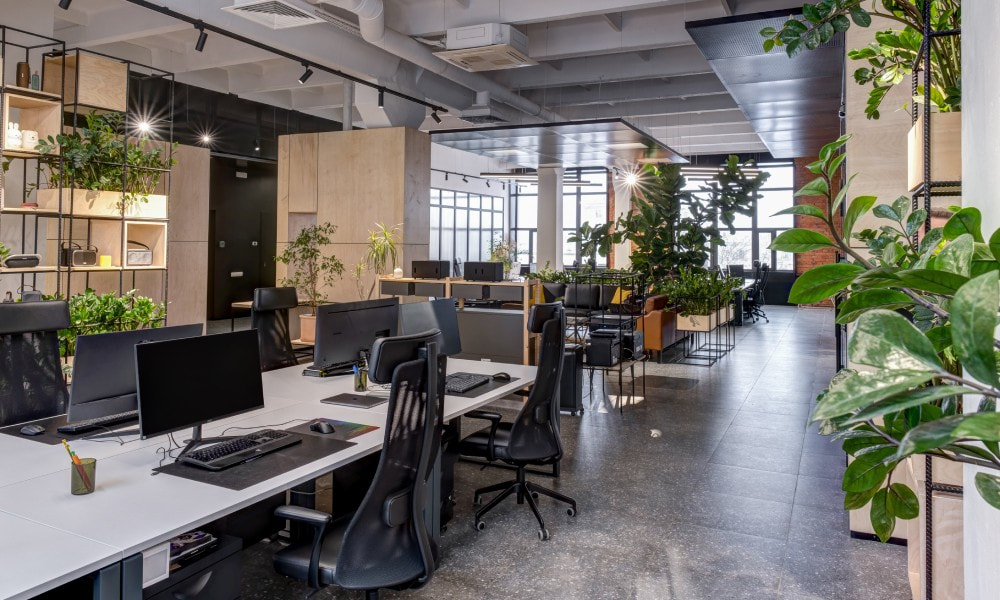 A modern, biophilic office. The workspace features modern shelving, polyaspartic-coated floors, and plenty of greenery.